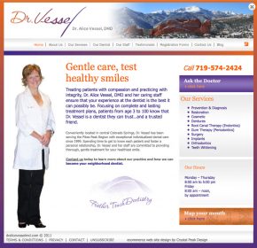 Dr Alice Vessel Website