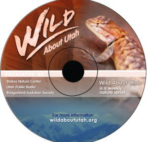 Wild About Utah Cd Cover