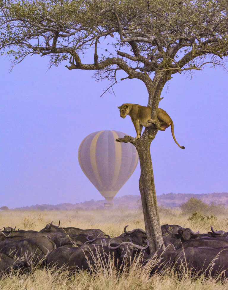 Serengeti, Tanzania